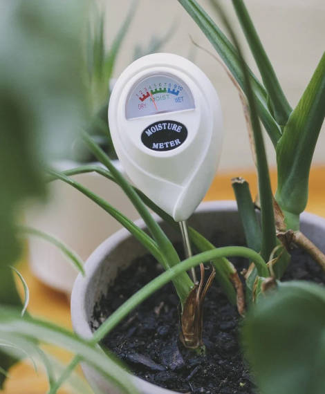 testeur plante analogique