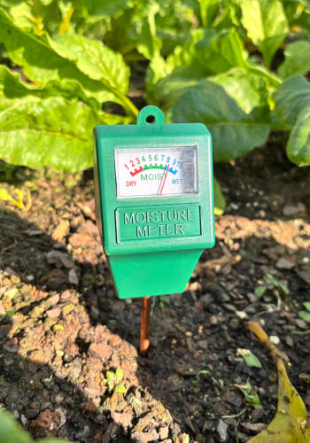 Testeur jardin et potager