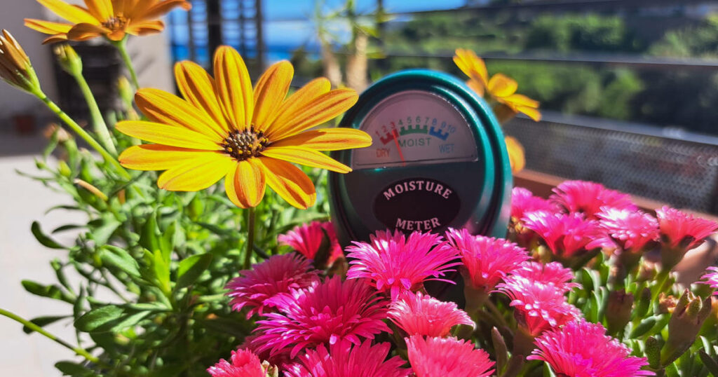 Testeur d'humidité pour plantes