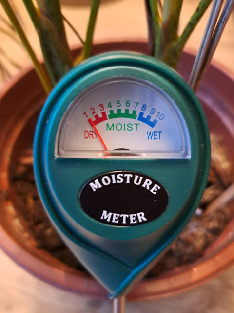 Comment lire les valeurs d'un testeur d'humidité pour plante