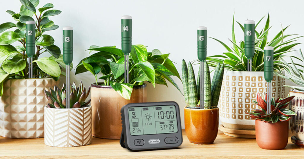 Test Dr.meter 4-en-1 testeur d'humidité pour plantes