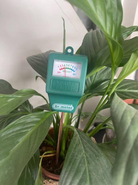 Entretien et utilisation du testeur d'humidité Dr.Meter
