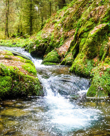 Eaux de surface