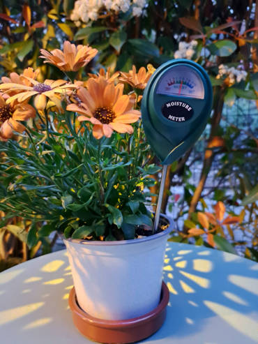 Étape 1 insérer la sonde