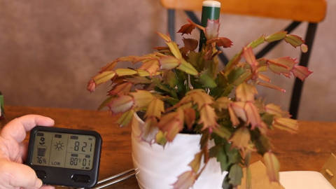 Testeur d'humidité 4-en-1 pour plantes
