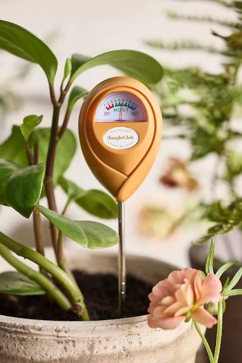 Bien choisir l'emplacement du testeur d'humidité pour plantes