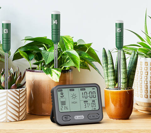 Testeur pour plusieurs plantes